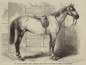Sir George Browns grijze hengst, Alma door Gustave Janet