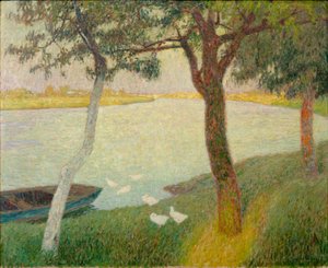 Eenden aan de rivier de Leie