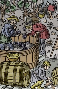 Oogst - druivenoogst - Herderkalender - De werken van de maanden - Oktober - Houtsnede uit het boek van 1496 gedrukt door Guy Marchant in Troyes - Houtsnede in 