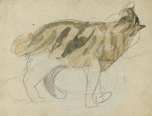 Kattenstudies
