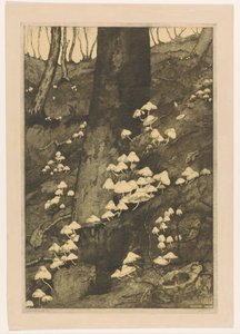 Paddenstoelen in een bos (Herfst) door H.C. Spruit (signed by artist)