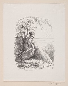 Illustratie voor "De wilde zwanen" in H.C. Andersen, "Sprookjes en verhalen", Deel 1 door H.P. Hansen