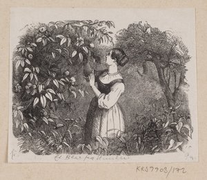 Illustratie voor "Een Blad uit de Hemel" in H.C. Andersen, "Sprookjes en Verhalen", Deel 2