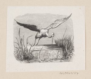 Illustratie voor "De ooievaars" in H.C. Andersen, "Sprookjes en verhalen", Deel 1