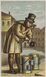 Melkboer (kleur litho)