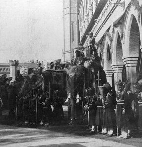 De olifant van de onderkoning, Delhi, India, 1900s door H. Hands and Son