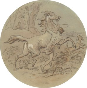 Een van achttien ontwerpen voor een serie platen ter illustratie van Venus en Adonis door Hablot Knight Browne