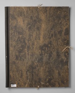  door Han van Meegeren