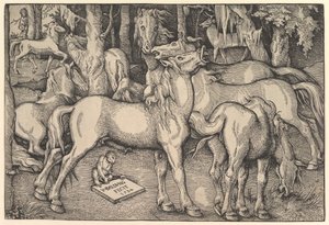 Groep van zeven paarden door Hans Baldung
