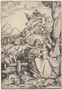 De Maagd en het Kind met Acht Engelen in een Landschap door Hans Baldung