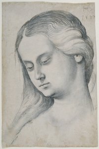  door Hans Baldung Grien