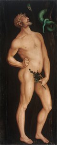 Adam
