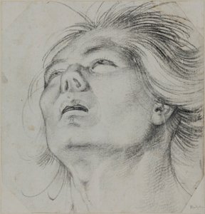  door Hans Baldung Grien