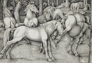  door Hans Baldung Grien