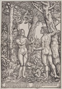 De zondeval van Adam en Eva door Hans Burgkmair