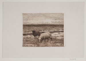 Schapen aan de oever door Hans Christian Gether Caspersen