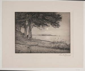 Vejle fjord
