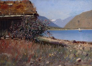 Vanuit Balestrand