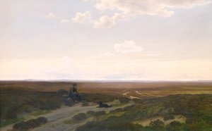Uitzicht op Pårup Moors bij Silkeborg, Jutland door Hans Friis