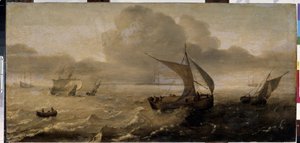 Storm op zee