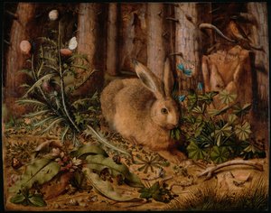 Een haas in het bos, ca. 1585 door Hans Hoffmann