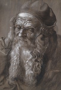 Een oude man van 93: Sint Hiëronymus