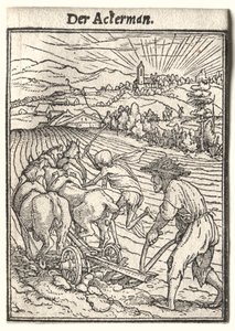 Dans van de Dood: De Ploeger door Hans Holbein