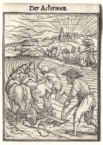 Dans van de Dood: De Ploeger door Hans Holbein