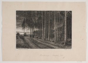 Regenachtige Dag in het Dennenbos door Hans Julius Fæster