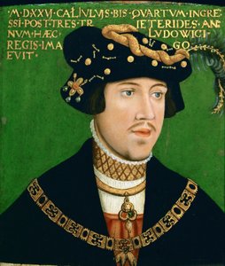 Portret van Lodewijk II, koning van Hongarije (1506-1526)