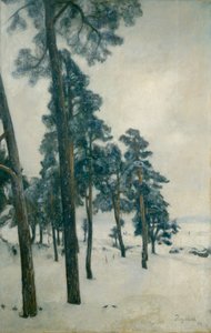 Vanuit Bogstadmeer door Hans Olaf Heyerdahl