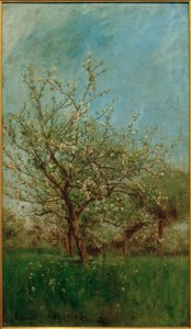Bloesembomen Uerdenbach