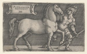 Alexander de Grote leidt Bucephalus