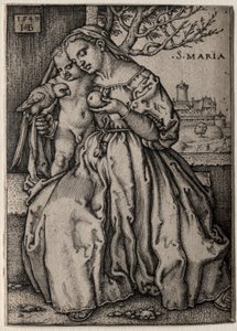 Maagd met de papegaai, 1549 door Hans Sebald Beham