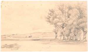 Landschap met ploegveld; rechts hoge bomen door Hans Smidth
