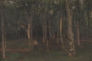 Bos bij zonsondergang door Hans Smidth