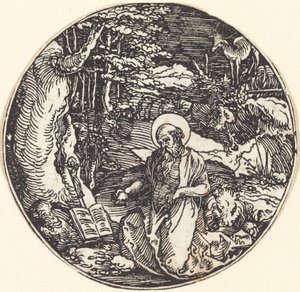 Sint Hiëronymus in Boetedoening door Hans Springinklee