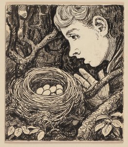 Tekening voor het leesboek: nest door Hans Thoma
