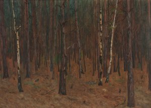 Binnen in het Bos