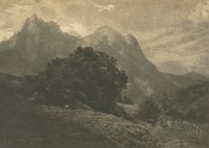 Berglandschap