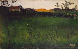 Rijp veld