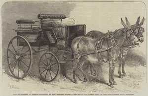 Paar Ezel in Harnas tentoongesteld door Miss Burdett Coutts op de Muilezel- en Ezelshow in de Agricultural Hall, Islington door Harden Sidney Melville