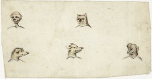 Hoofden van vier dieren en een skelet door Harmen ter Borch
