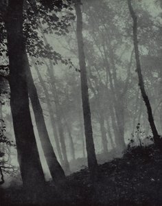 ... gebogen wandelingen van schemerige bossen en bruine schaduwen ... van den, of monumentale eik, Milton door Harold Burdekin