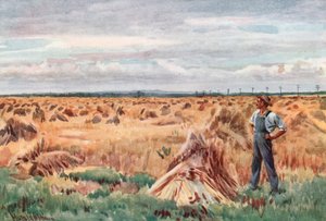 Langs de tarwevelden van Manitoba door Harold Copping