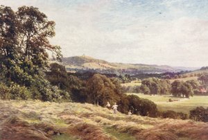 Een hooiveld, Wonersh door Harold Sutton Palmer