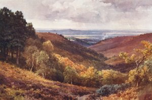Hindhead, The Punchbowl, Kijkend naar het Noorden