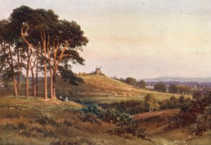 Reigate Heath, avond door Harold Sutton Palmer