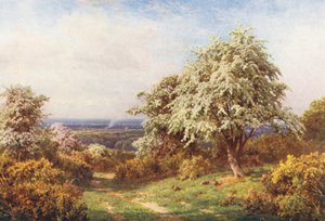 De trots van de lente, Newlands Corner