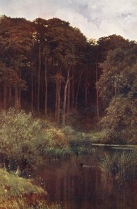 Diepten van het bos, Wotton door Harold Sutton Palmer